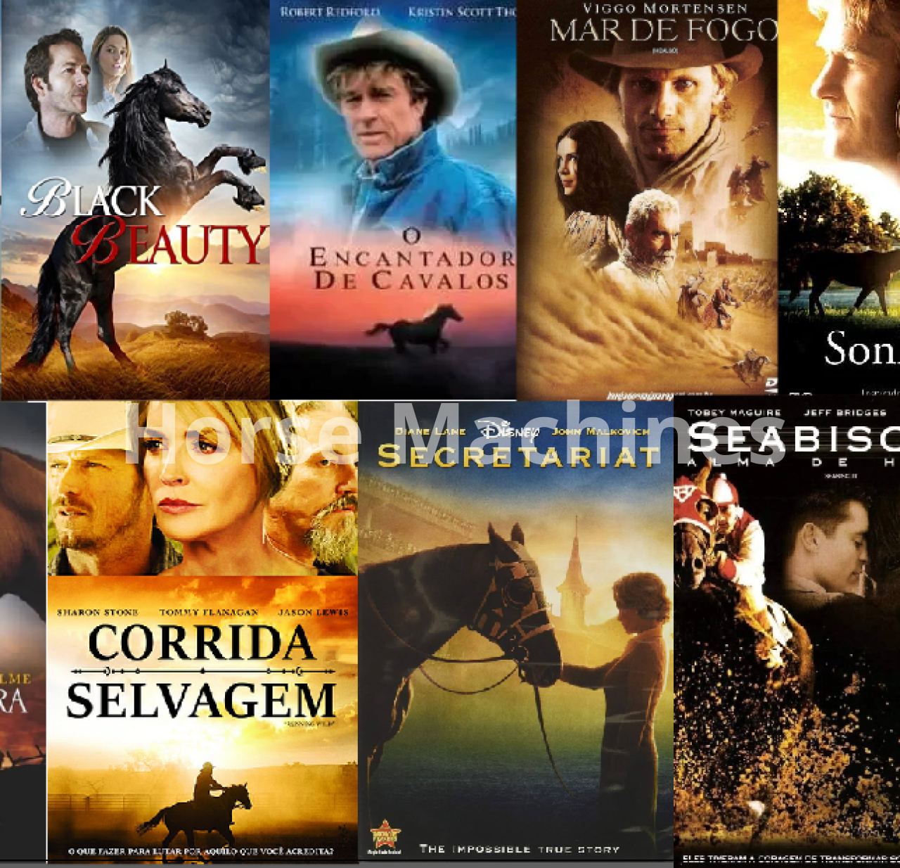 Melhores Filmes e Séries Equestres para Maratonar