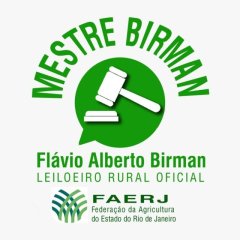 Flávio Birman